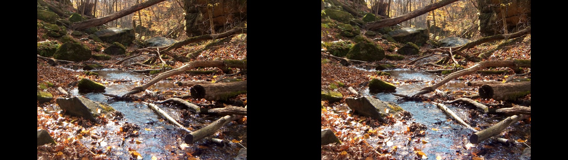 Stream in Fall